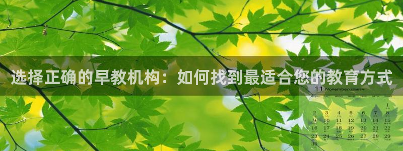 威九国际系列：选择正确的早教机构：如何找到最适合您的教育方式