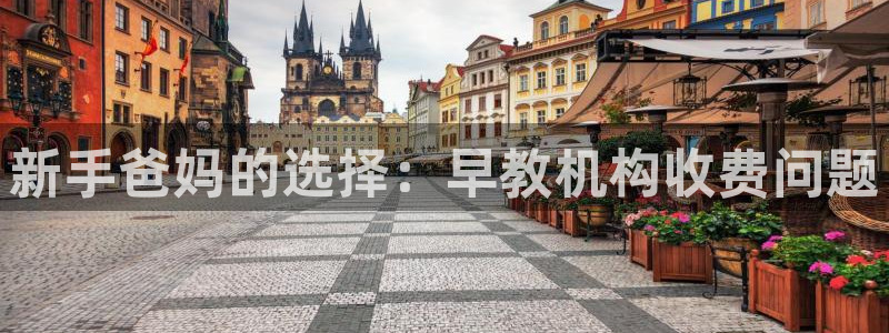 威九国际78mb42：新手爸妈的选择：早教机构收费问题