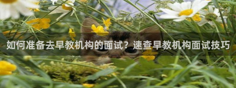 威九国际里的长头发帅哥名字：如何准备去早教机构的面试？速查早教机构面试技巧