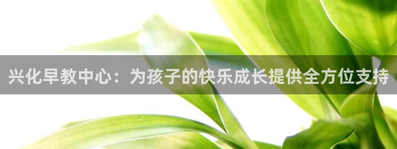 威九国际正规吗：兴化早教中心：为孩子的快乐成长提供全方位支持