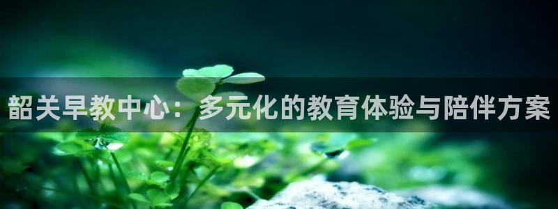 威九国际v96bet下载：韶关早教中心：多元化的教育体验与陪伴方案