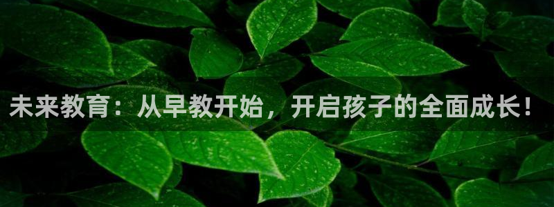 威九国际ppt官网：未来教育：从早教开始，开启孩子的全面成长！