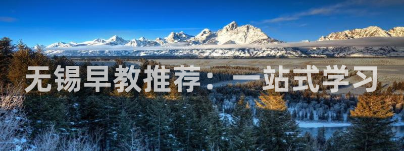 威九国际替好友去:无锡早教推荐:一站式学习