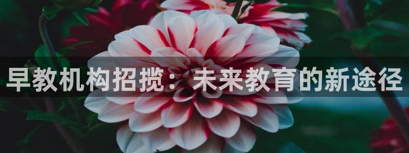 威九国际客服电话号码查询：早教机构招揽：未来教育的新途径