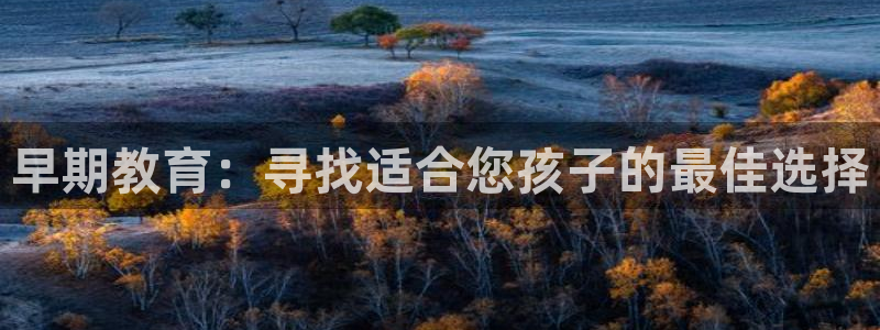 威九国际v96bet官网版:早期教育:寻找适合您孩子的最佳选择