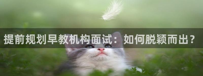 威九国际网站进入客服中心了吗：提前规划早教机构面试：如何脱颖而出？