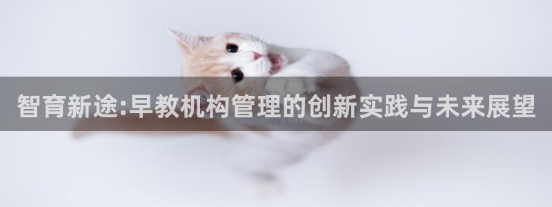 威九国际娜娜:智育新途:早教机构管理的创新实践与未来展望