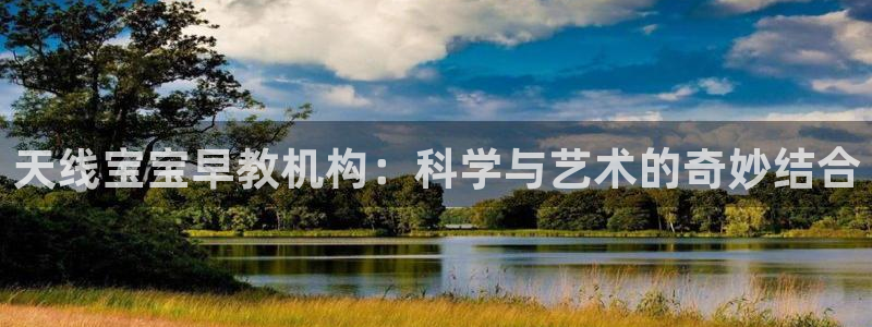 威九国际ppt官网：天线宝宝早教机构：科学与艺术的奇妙结合