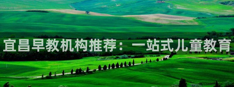 威九国际A：宜昌早教机构推荐：一站式儿童教育