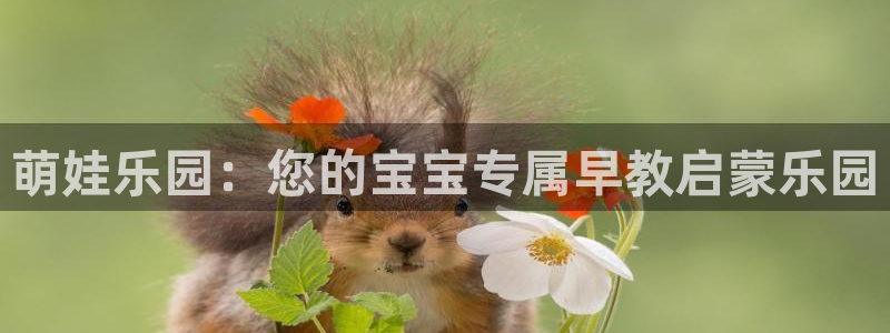 威九国际能提现吗安全吗：萌娃乐园：您的宝宝专属早教启蒙乐园