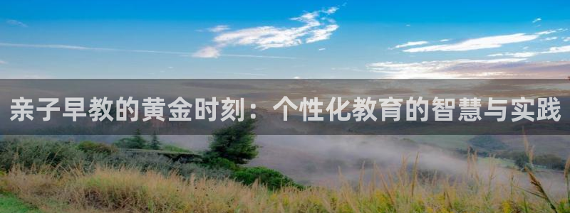 威九国际官网登录入口:亲子早教的黄金时刻:个性化教育的智慧与实践