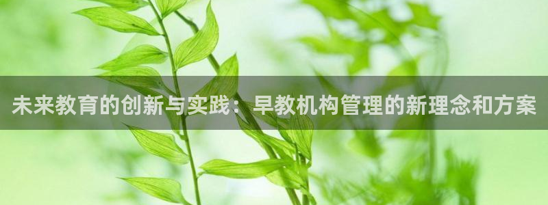 威九国际哪国的:未来教育的创新与实践:早教机构管理的新理念和方案