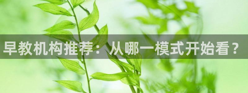 威九国际官网在线进入网站查询网址：早教机构推荐：从哪一模式开始看？