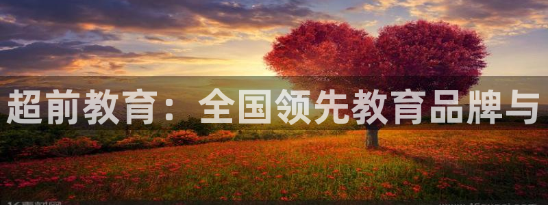 威九国际网站入口官网首页：超前教育：全国领先教育品牌与