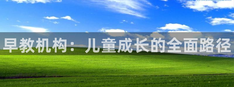 威九国际网站客服电话多少啊:早教机构:儿童成长的全面路径
