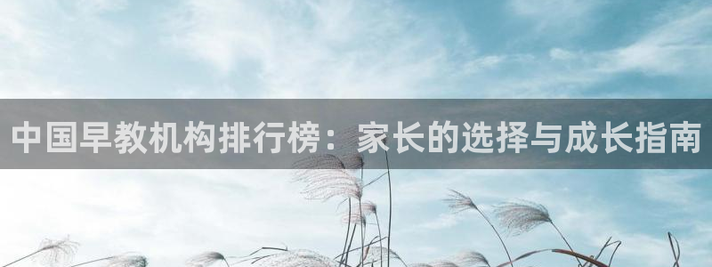 保定威九网络科技有限公司怎么样：中国早教机构排行榜：家长的选择与成长指南