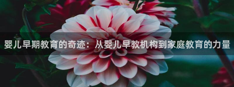 威九国际v96.81t:婴儿早期教育的奇迹:从婴儿早教机构到家庭教育的力量