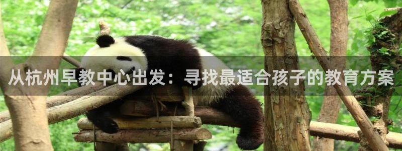 威九国际替好友去:从杭州早教中心出发:寻找最适合孩子的教育方案