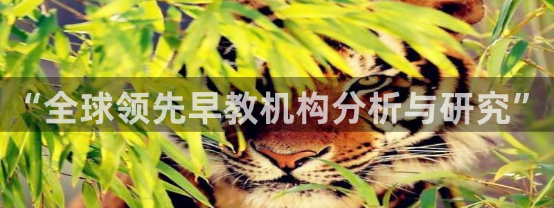 威九国际免费进入：“全球领先早教机构分析与研究”