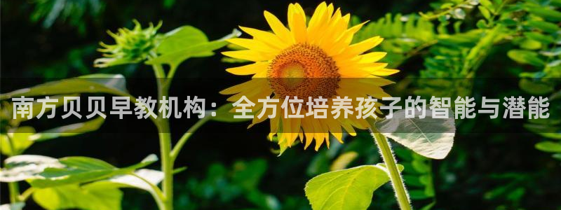 威九国际EVA：南方贝贝早教机构：全方位培养孩子的智能与潜能