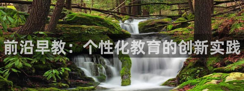 威九国际动漫:前沿早教:个性化教育的创新实践