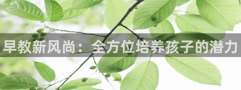 威九国际app网站安全吗:早教新风尚:全方位培养孩子的潜力