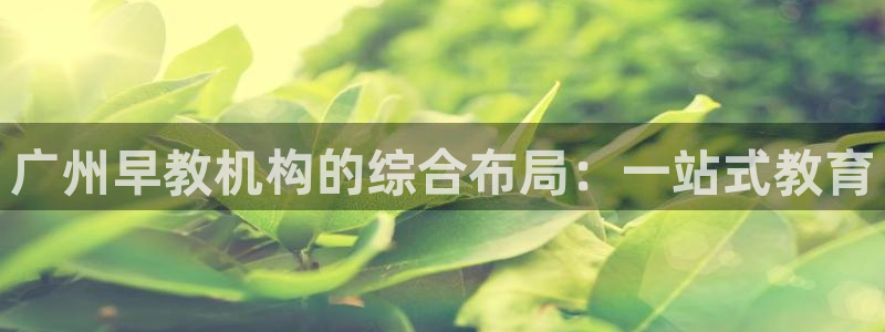 威九国际黑钱：广州早教机构的综合布局：一站式教育