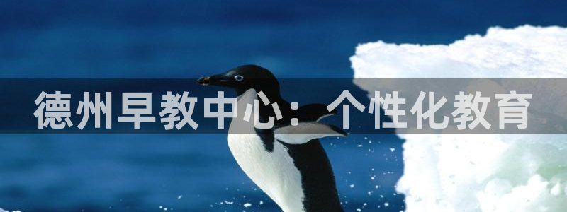威九国际网站进入(中国)有限公司-官网：德州早教中心：个性化教育
