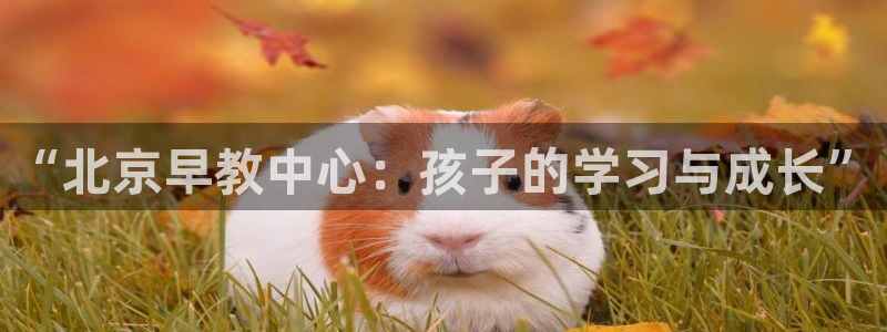 威九国际v9:“北京早教中心:孩子的学习与成长”