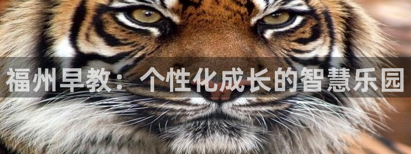 威九国际网站入口&rdpuo:福州早教:个性化成长的智慧乐园