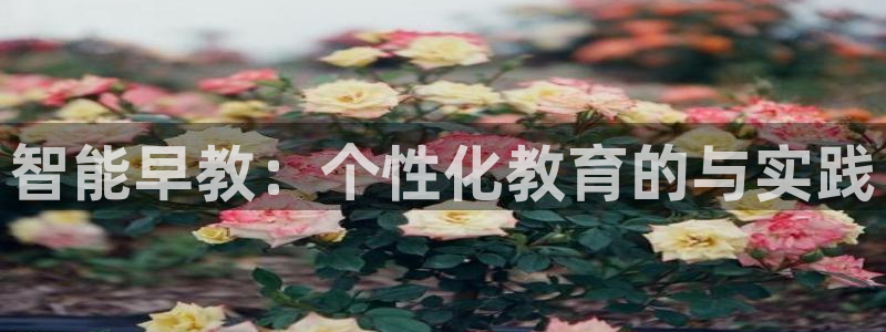 威九国际客服电话是多少:智能早教:个性化教育的与实践