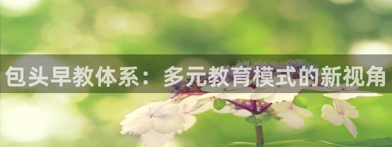 威九国际女艺人：包头早教体系：多元教育模式的新视角