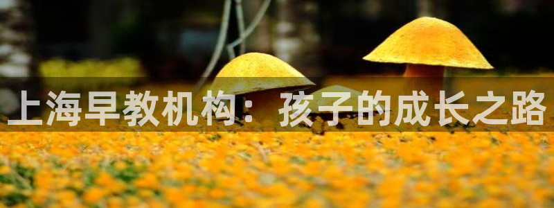 威九国际官网登录入口网站:上海早教机构:孩子的成长之路