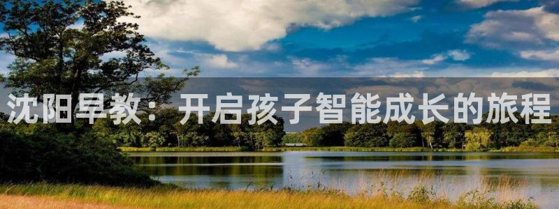 威九国际78mob游戏亮点：沈阳早教：开启孩子智能成长的旅程