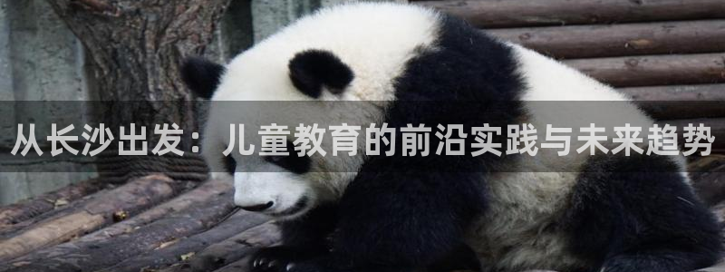 威九国际H:从长沙出发:儿童教育的前沿实践与未来趋势