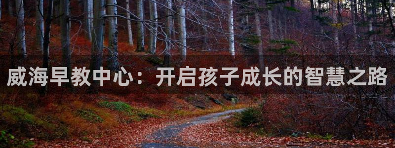 威九国际66mm66:威海早教中心:开启孩子成长的智慧之路