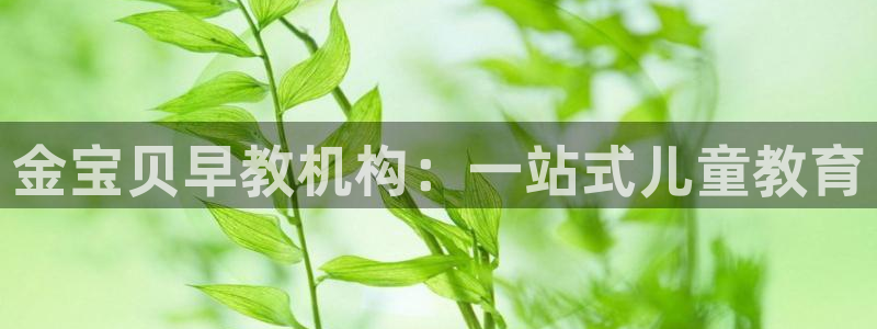 威九国际取款不到账:金宝贝早教机构:一站式儿童教育