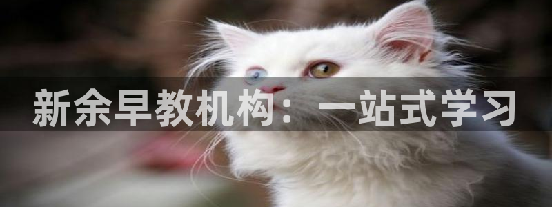 威九国际网站影视:新余早教机构:一站式学习