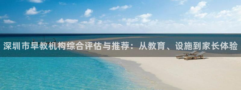 威九国际网站是多少:深圳市早教机构综合评估与推荐:从教育、设施到家长体验