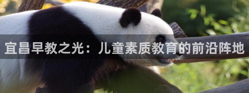 威九国际电视：宜昌早教之光：儿童素质教育的前沿阵地