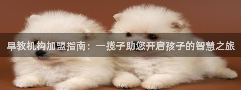 威九国际网站怎么样可靠吗：早教机构加盟指南：一揽子助您开启孩子的智慧之旅