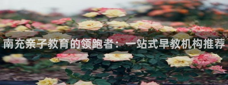 威九国际电视怎么样：南充亲子教育的领跑者：一站式早教机构推荐