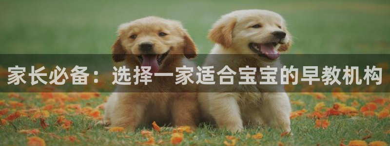 威九国际78m78：家长必备：选择一家适合宝宝的早教机构