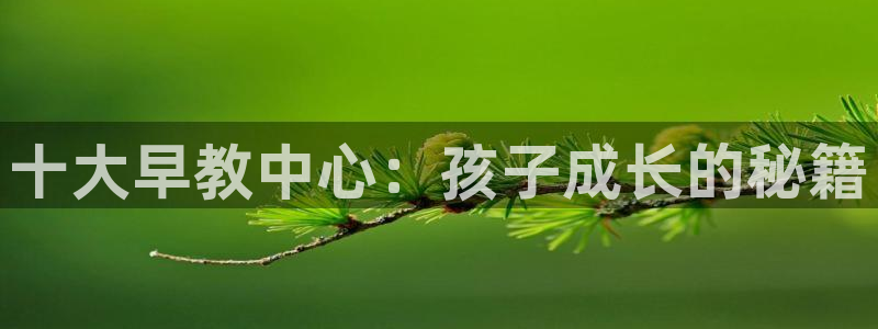 威九国际v96bet官网版：十大早教中心：孩子成长的秘籍