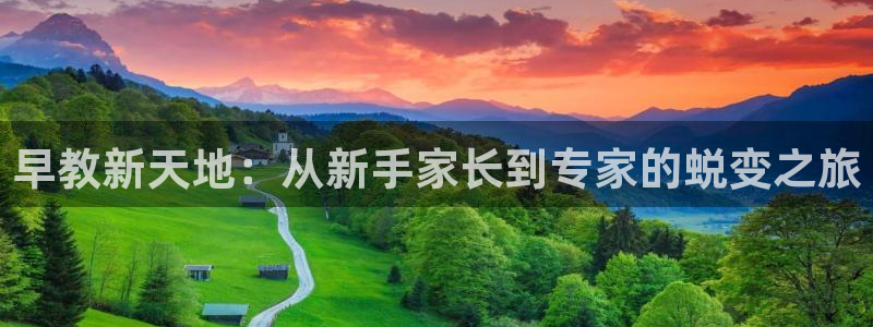 威九国际app入口在哪：早教新天地：从新手家长到专家的蜕变之旅