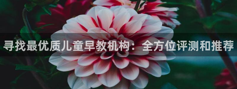 威九国际取款机怎么取:寻找最优质儿童早教机构:全方位评测和推荐