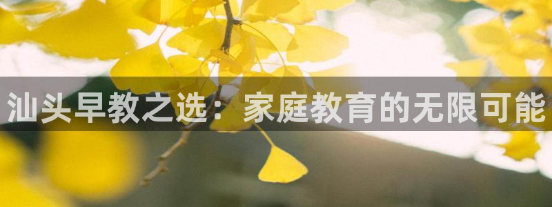 威九国际APP客服：汕头早教之选：家庭教育的无限可能