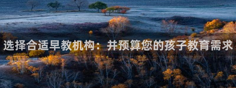 威九国际网站客服电话多少：选择合适早教机构：并预算您的孩子教育需求