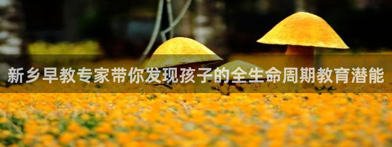 威九国际安全吗的认证团队：新乡早教专家带你发现孩子的全生命周期教育潜能