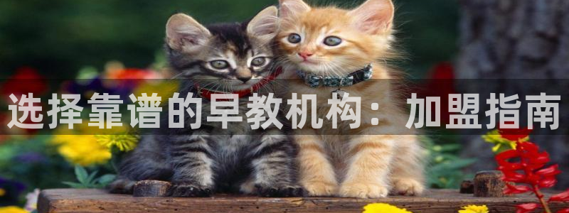 威九国际网站入口官网免费:选择靠谱的早教机构:加盟指南